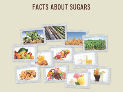 Facts about Sugars