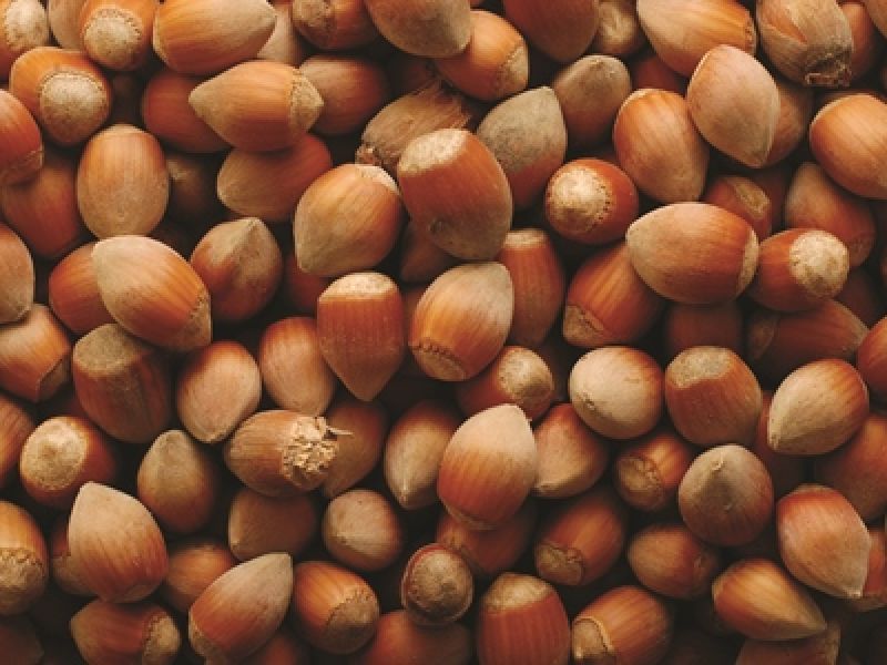 CAOBISCO is committed to driving real change in the hazelnut sector through public private partnership.