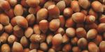 Public Private Partnership in Turkish Hazelnut sector